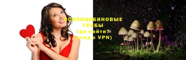 герыч Новодвинск